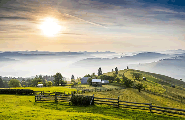展示移动设备技术概念的占位图片